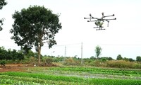 Ba Ria - Vung Tau impulsa la transformación digital en la producción agrícola