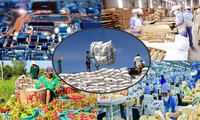 Exportaciones de Vietnam en 2024 superan los objetivos establecidos