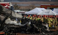 Accidente aéreo en Corea del Sur: Casi todos los pasajeros y tripulantes murieron