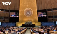 Vietnam promete seguir aportando al trabajo común de la ONU en 2025