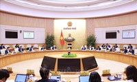 Primer Ministro de Vietnam indica tareas a realizar después del festejo del Tet 