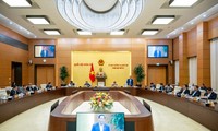 Vietnam completa proyecto de ley sobre participación en las fuerzas de mantenimiento de la paz de la ONU