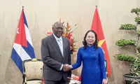 Vicepresidenta de Vietnam se reúne con su homólogo cubano