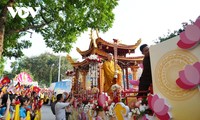 Recepción de la reliquia de Buda, tesoro nacional de la India, a la pagoda Quan Su