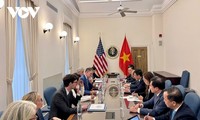 Negociaciones sobre comercio recíproco entre Vietnam y Estados Unidos registran resultados positivos
