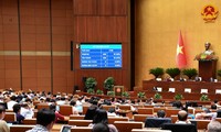 Asamblea Nacional de Vietnam aprueba ley relativa a misiones de paz y tres importantes resoluciones