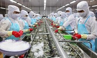 China supera a Estados Unidos como mayor importador de productos acuáticos de Vietnam