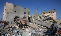 Las víctimas en la Franja de Gaza superan las 220.000