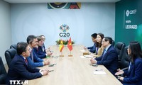 Primer Ministro vietnamita se reúne con líderes de países y organizaciones internacionales en Johannesburgo