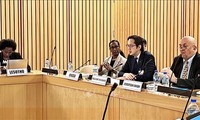 Vietnam preside sesiones de consulta regional africana sobre la Conferencia de revisión del TNP