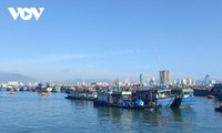 Los pescadores en Khanh Hoa zarpan en nueva temporada determinados a combatir la pesca ilegal