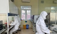 Covid-19 : Détection de la nouvelle souche anglaise du nouveau coronavirus à Hai Duong