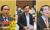 Trân Thanh Mân, Nguyên Khac Dinh et Nguyên Duc Hai élus vice-présidents de l'Assemblée nationale