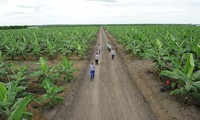 Binh Duong attire les investissements dans l'agriculture