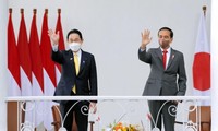 Entretien Kishida Fumio - Joko Widodo