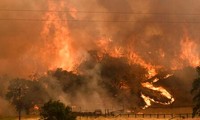 Algérie: le bilan des incendies dans plusieurs villes monte à 26 morts