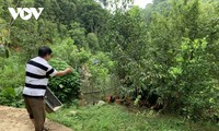 Hoàng Trong Dung, un agriculteur Tày émérite 