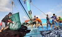 Trân Luu Quang: Le Vietnam s’efforce de lutter contre la pêche INN et le retrait de son carton jaune