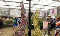 Rose Cao, première Vietnamienne à décrocher un prix au Chelsea Flower Show