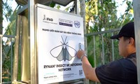 Surveillance intelligente d'insectes: Succès au Japon, engagement envers l'agriculture vietnamienne