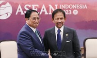 Pham Minh Chinh rencontre le sultan du Brunei