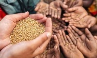 La 43e Journée mondiale de l’alimentation célébrée au Vietnam