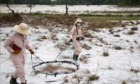 Présentation au Congrès américain d'un projet de loi sur les opérations de déminage au Vietnam, au Laos et au Cambodge