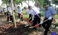 Têt 2024: coup d’envoi de la campagne de plantation d’arbres à travers le pays