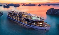 Deux expériences de navigation au Vietnam parmi les meilleures au monde selon Tripadvisor