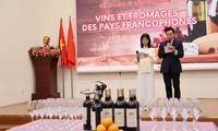 Vin et fromage, une découverte gustative de la culture francaise