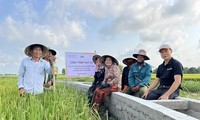 Sécuriser l’eau, améliorer la vie – une initiative au service des agriculteurs vietnamiens 