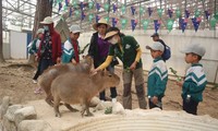 Zoodoo, un safari convivial au cœur de Da Lat