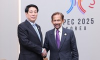 Vietnam–Brunei: la visite du Sultan ouvre une nouvelle phase de coopération