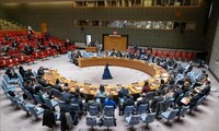 Cinq nouveaux membres non permanents du Conseil de sécurité de l’ONU entament leur mandat