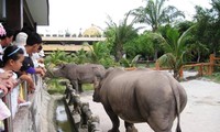 เยี่ยมสวนสัตว์ด๋ายนามในจังหวัดบิ่งเยือง