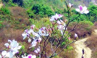 เยือนจังหวัดลายเจาทางทิศตะวันตกเฉียงเหนือเวียดนาม