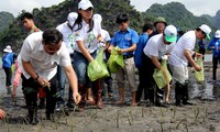 การชุมนุมขานรับวันลดภัยพิบัติทางธรรมชาติระหว่างประเทศ