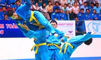 การแข่งขัน Vovinam ชิงแชมป์โลกปี 2015