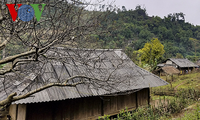 วสันฤดูเวียนมาในหมู่บ้านชนกลุ่มน้อยเขตตะวันตกเฉียงเหนือ