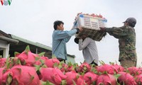 สินค้าการเกษตรของเวีดนามมุ่งเจาะตลาดอินเดีย 