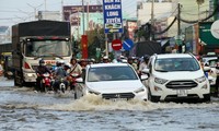 เวียดนามมีส่วนร่วมอย่างเข้มแข็งต่อการผสมผสานเข้ากับกระแสภูมิภาคในด้านสิ่งแวดล้อม