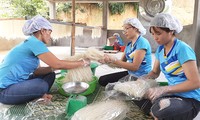 รูปแบบการทำธุรกิจสตาร์ทอัพต่าง ๆ ที่เป็นมิตรกับสิ่งแวดล้อมที่ประสบความสำเร็จในโครงการสนับสนุนสตรีทำธุรกิจสตาร์ทอัพ