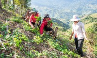 สตรีในจังหวัดกอนตุมกับกระบวนการสตาร์ทอัพ