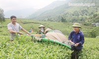 จังหวัดเซินลาพัฒนาชนบทที่ทันสมัยและการเกษตรที่มีอารยธรรม