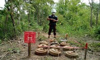 การเก็บกู้ทุ่นระเบิดในเขตชายแดนระหว่างไทยกับกัมพูชา