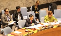 Vietnam chairs first public UNSC meeting