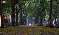 Hanoi's tranquility of social distancing days