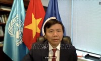 Vietnam backs international law in maintaining peace and security