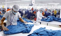 Vietnam to be among top growth performers again in 2021: HSBC