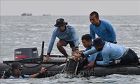 Indonesia hopes to retrieve black boxes of crashed jet from Java Sea